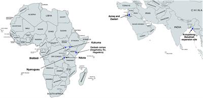 The impact of neglected tropical diseases on women and girl refugees: A call for increased awareness and strategic intervention